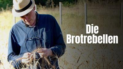 Die Brotrebellen: Jean-Jacques Jacob und das Gold Georgiens