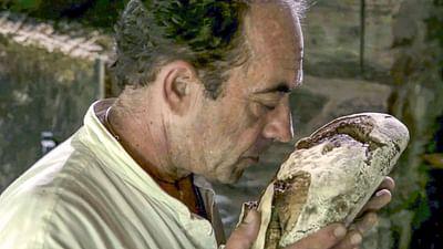 Die Brotrebellen: Nicolas Supiot und die Alchemie des Backens