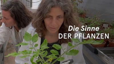 Die erstaunlichen Fähigkeiten der Pflanzen: Supersinne