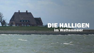 Die Halligen im Wattenmeer Die Halligen im Wattenmeer