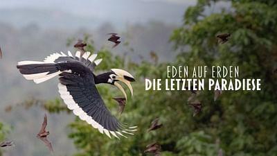 Die letzten Paradiese: Borneo: Schatzkammer Regenwald Die letzten Paradiese: Borneo: Schatzkammer Regenwald