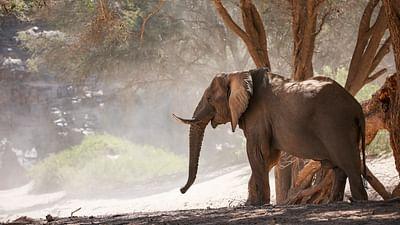 Die letzten Paradiese: Namibia: Zwischen Wüste und Küste Die letzten Paradiese: Namibia: Zwischen Wüste und Küste
