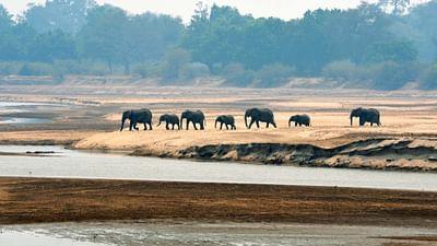 Die letzten Paradiese: Sambia: Kinderstube am Luangwa