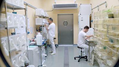 Die Seucheninsel: Forschung im Sperrgebiet