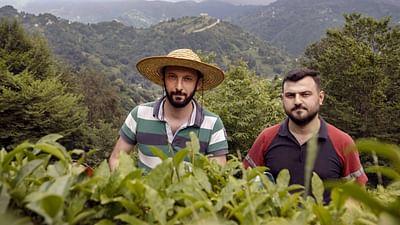 Die türkische Schwarzmeerküste: Der wilde Osten