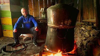 Die Welt der Gewürze: Wacholder aus Albanien