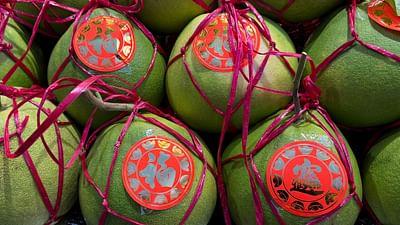 Die Welt der Zitrusfrüchte: Heilig: Malaysias Pomelos