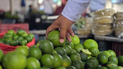 Die Welt der Zitrusfrüchte: Spritzig: Mexikos Limetten