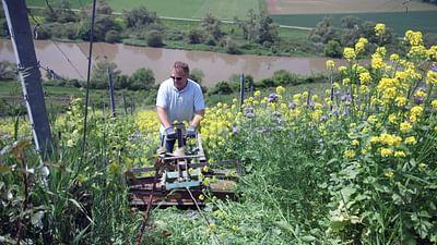Die wunderbare Welt der Weine: Deutschland: Herausforderung Klimawandel