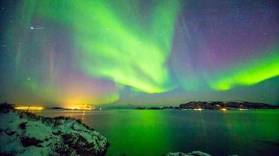 Durch das Jahr in der weltweiten Wildnis: November - Dezember: Der Kreis schließt sich