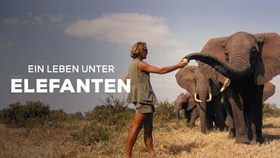 Ein Leben unter Elefanten