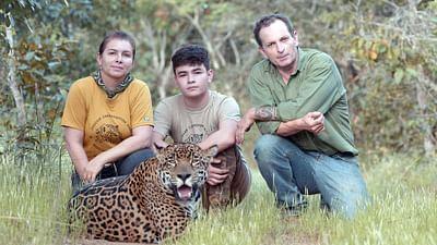 Eine wilde Familie: Brasiliens Jaguar-Institut Eine wilde Familie: Brasiliens Jaguar-Institut