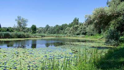 Europas Amazonien: Die lange Reise