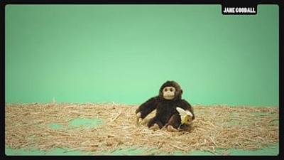 (Fast) die ganze Wahrheit: Jane Goodall