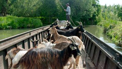 Frankreichs Norden: Von der Somme nach Flandern