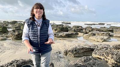 Frankreichs Norden: Die Baie de Somme und die Opalküste