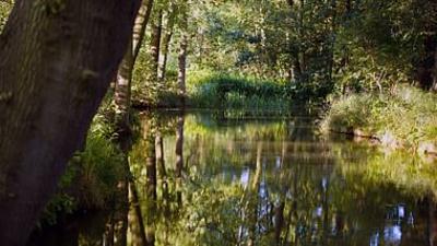 GEO Reportage: Spreewald: Kähne, Köche, Klapperstörche