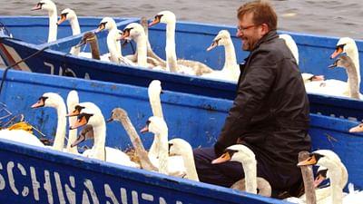 GEO Reportage: Hamburg, die Stadt der Schwäne