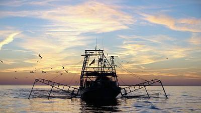 GEO Reportage: Louisiana: Land unter bei den Shrimps-Fischern