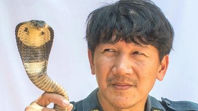GEO Reportage: Auf Schlangenjagd in Bangkok
