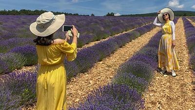 GEO Reportage: Die Herren des Lavendels