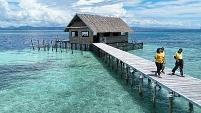 Gute Nachrichten vom Planeten: Was bringt uns Naturschutz?