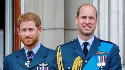 Harry vs. William - Der royale Bruderzwist