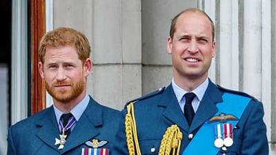 Harry vs. William - Der royale Bruderzwist