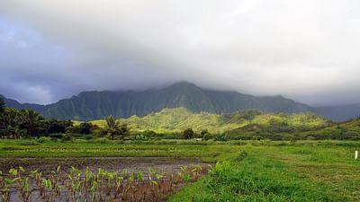 Hawai‘i: O'ahu Hawai‘i: O'ahu