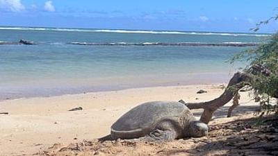 Hawai‘i: Maui und Moloka'i
