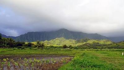 Hawai‘i: O'ahu