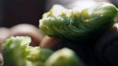 Hopfengärten und wilde Natur: Die Hallertau