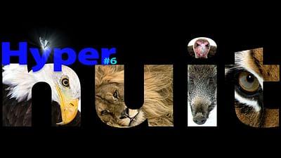 Hypernacht #6