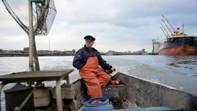 Im Bauch von Hamburg: Der Isemarkt