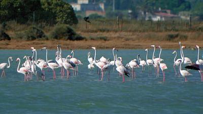 Inseln Italiens: Sulcis Archipel