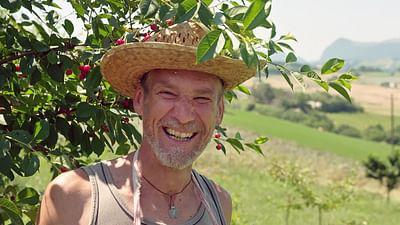 Italien, meine Liebe: Marken