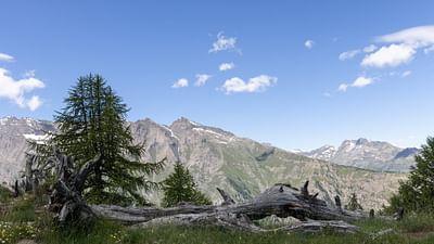 Italiens unbekannter Norden: Das Aostatal