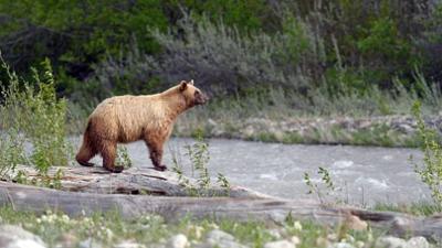 Kanadas Nationalparks: Waterton Lakes