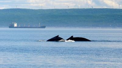 Kanadas Nationalparks: Saguenay-St. Lawrence
