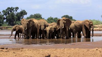 Kenia - Dem Regen hinterher (1/4): Nach der Sintflut