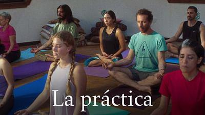 La práctica