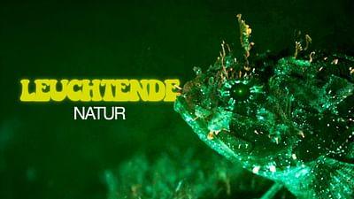 Leuchtende Natur: Fluoreszenz als Überlebensstrategie Leuchtende Natur: Fluoreszenz als Überlebensstrategie
