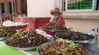 Märkte der Welt: Kambodscha: Der Insektenmarkt