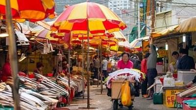 Märkte der Welt: Südkorea: Der Fischmarkt