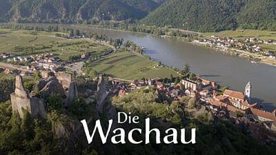 Marillengärten und wilde Natur: Die Wachau Marillengärten und wilde Natur: Die Wachau