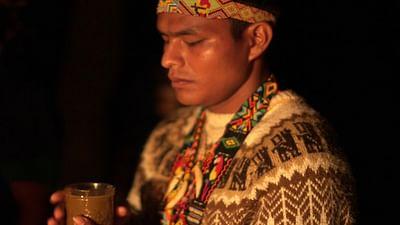Medizin in fernen Ländern: Kolumbien: Die heilige Pflanze des Amazonas