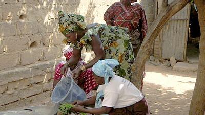 Medizin in fernen Ländern: Senegal: Die Heilkräfte der Natur