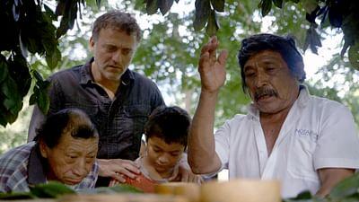 Medizin in fernen Ländern: Mexiko: Die Heilmethoden der Maya