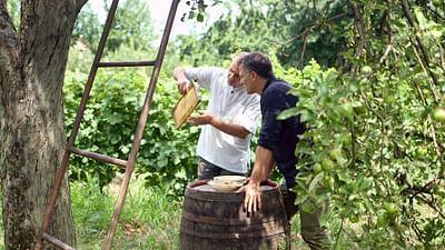 Medizin in fernen Ländern: Rumänien: Heilsame Bienen