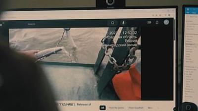 Milliarden Dollar Babies - Große Gewinne mit kleinen Aalen